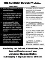The Buggery Law